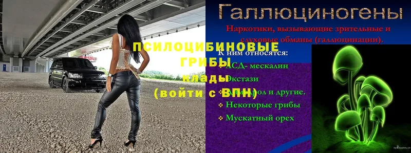 купить   Невинномысск  Галлюциногенные грибы прущие грибы 